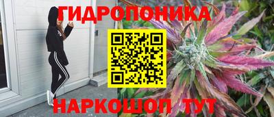 не бодяженный Дубна