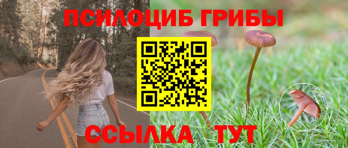 Магнитогорск  Галлюциногенные грибы мухоморы  где купить наркоту  Вход с VPN 